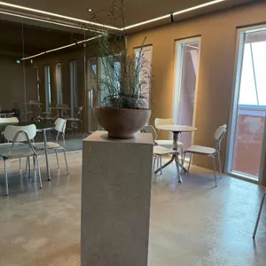 타이드 대표 사진