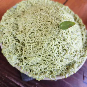 심미안 대표 사진