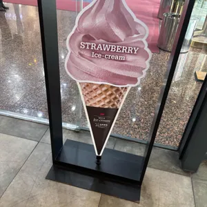 폴바셋 대표 사진