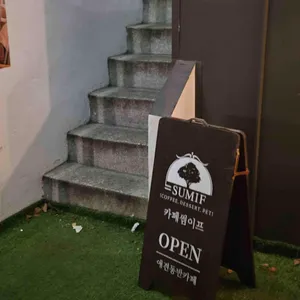 썸이프 대표 사진