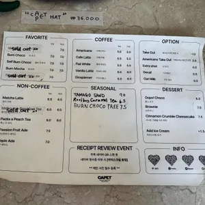 카펫 리뷰 사진