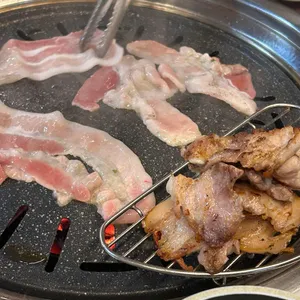 노란꽃돼지 사진