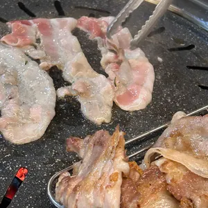 노란꽃돼지 사진