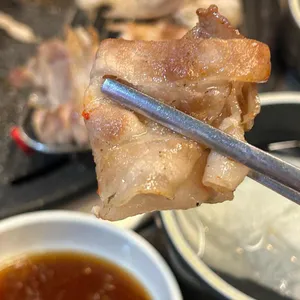 노란꽃돼지 사진