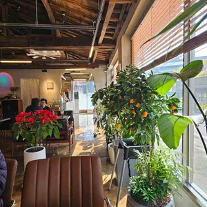 대동카페 대표 사진