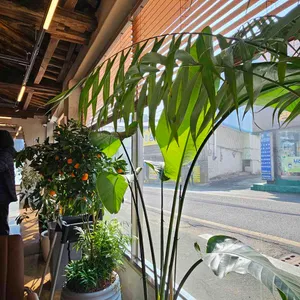 대동카페 리뷰 사진