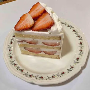 카페 팃빗 사진 1