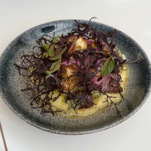 필립 대표 사진