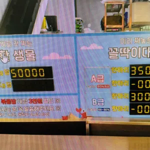 대게특별시 리뷰 사진