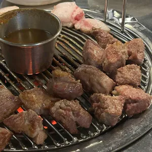 탐라도니 사진 1