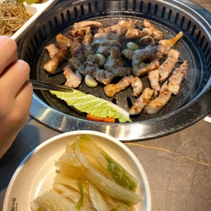 거북이동네 사진