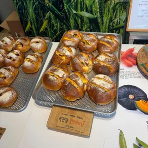 파운드 그레도 리뷰 사진