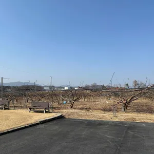 카페이목 리뷰 사진