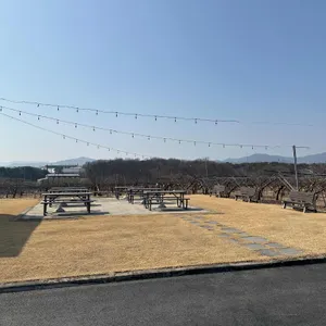 카페이목 리뷰 사진