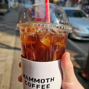 매머드커피 익스프레스 사진