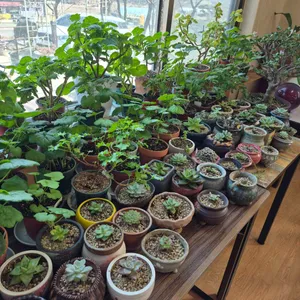 육남매고기집 대표 사진