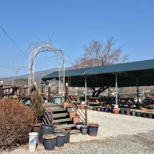 육남매고기집 리뷰 사진