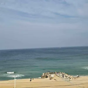 백야커피 사진 1