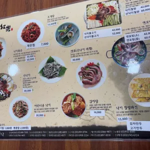 무교동홍낙 리뷰 사진