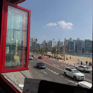 매드독스 리뷰 사진