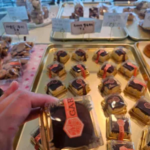 가드니아 대표 사진