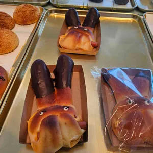 가드니아 대표 사진