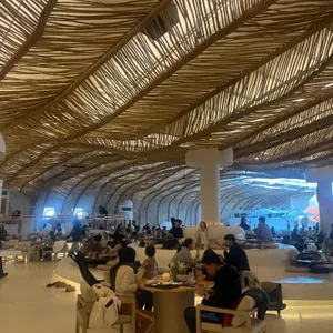 자투라 대표 사진