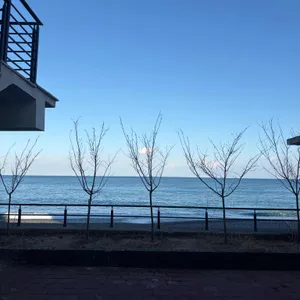 에르벵커피하우스 리뷰 사진