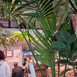 케익하우스 델리 대표 사진