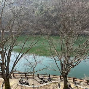 엔학고레 대표 사진