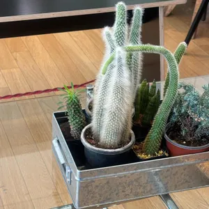 에이치앰퍼샌드 사진