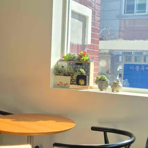 디블루메 대표 사진