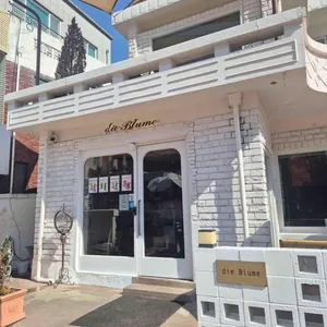 디블루메 대표 사진