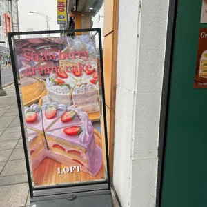 로프트 리뷰 사진