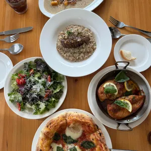 퀴비 대표 사진