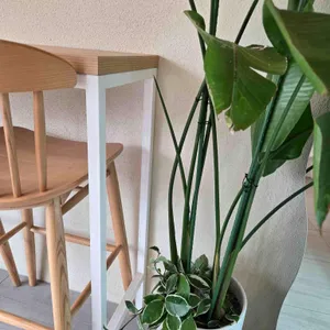 꾸어봄 대표 사진