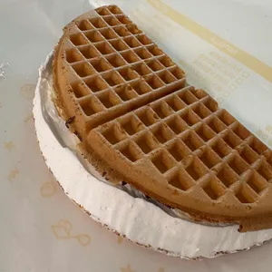 와플대학 사진 1