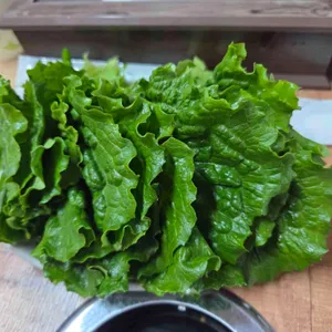 신가네식당 사진 1