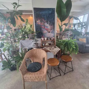 멜로우어텀 대표 사진