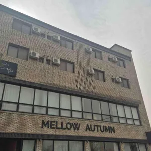 멜로우어텀 대표 사진