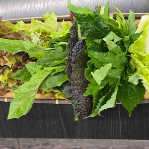 산들애우렁쌈밥 대표 사진