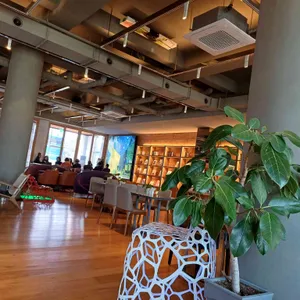 낮잔에밤별소 대표 사진