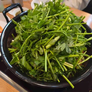 등촌샤브칼국수 사진 1