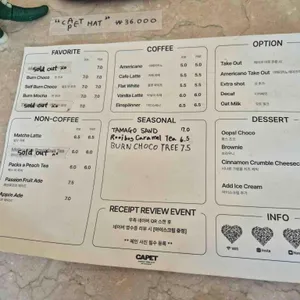 카펫 리뷰 사진