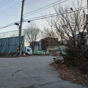 별난버섯집 리뷰 사진