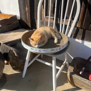 아소재 리뷰 사진