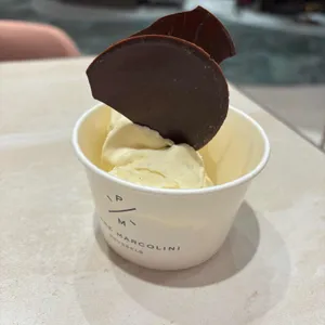 피에르 마르콜리니 사진