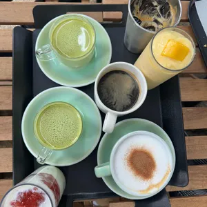 소색채본 대표 사진