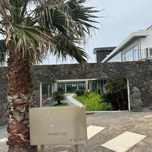 소색채본 대표 사진