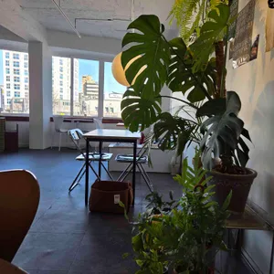 오프위고 대표 사진